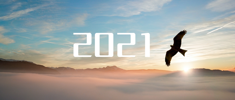 乘“峰”而上，智“盈”未来 ——2021年威廉希尔高级资深副总裁新年开工动员